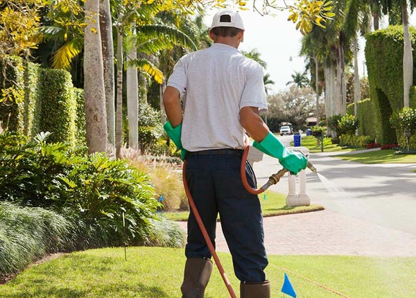 About Ringgold GA Pest Control Pros